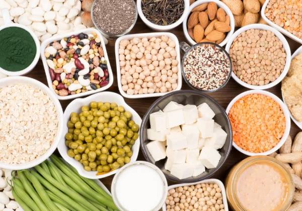 The Power of Plant-Based Protein: A Sustainable and Nutritious Choice